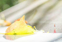 看似正确的 看似正确的