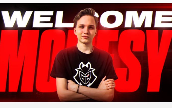 MX落地生 MX落地生